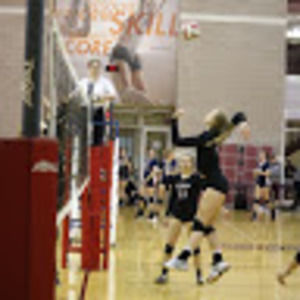 Meet your Posher, Audra brynn